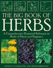 big_book_of_herbs.jpg